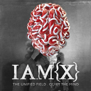 The Unified Field / Quiet the Mind