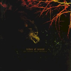 The Forest That Shelters / Filament