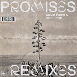 Promises (remixes)