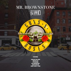 Mr. Brownstone