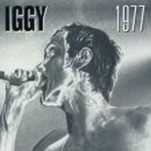 Iggy 1977