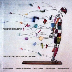 Shoulda Coulda Woulda