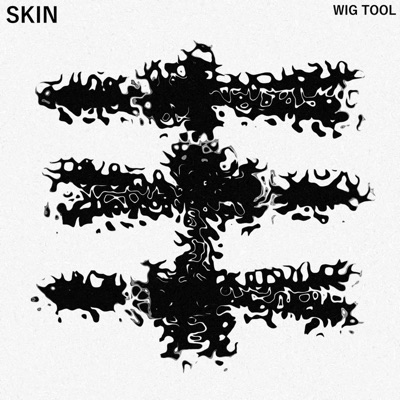 Wig Tool