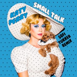 Small Talk (Sofi Tukker remix)