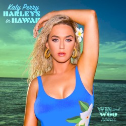 Harleys in Hawaii (Win and Woo remix)