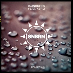 Raindrops (remixes)