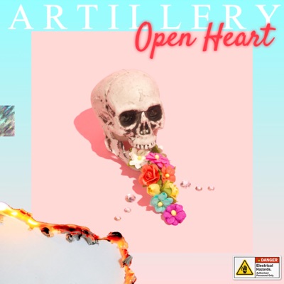 Open Heart