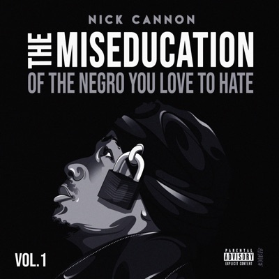 The Miseducation of the Negro You Love to Hate