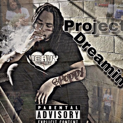 Projectdreamin