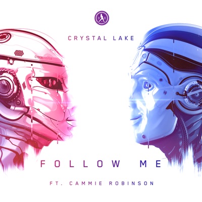 Follow Me (feat. Cammie Robinson)