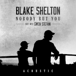 Nobody but You (acoustic)