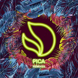 Pica (remixes)