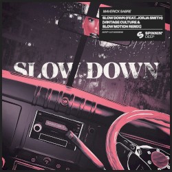 Slow Down (Vintage Culture & Slow Motion remix)