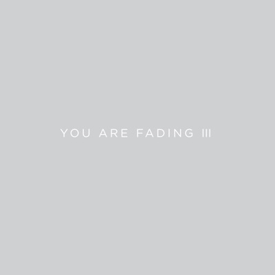 You Are Fading, Vol. 3 (Bonus Tracks 2005 - 2010)