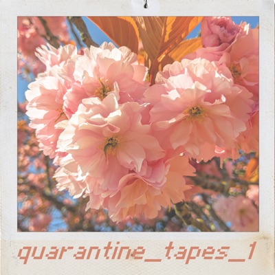 Quaratine_Tapes_1