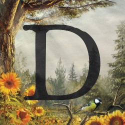 D