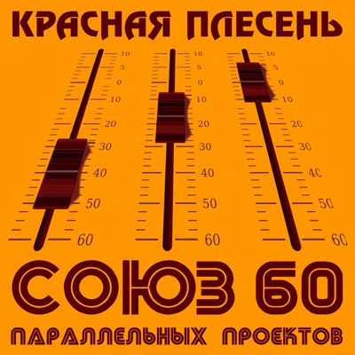 Союз параллельных проектов 60