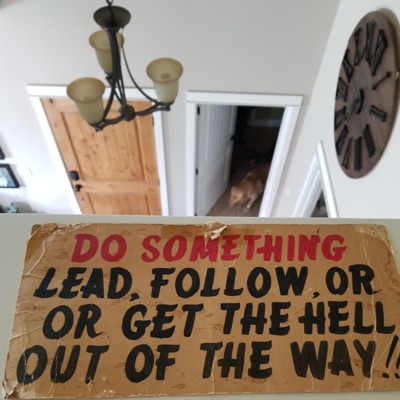 Lead, Follow, or Get the Hell Out of the Way!!