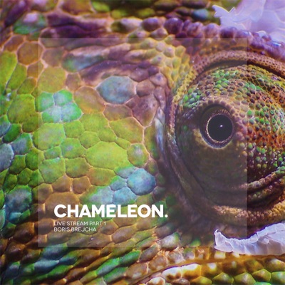 Chameleon (Live Stream, Pt. 1)