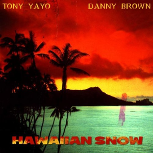 Hawaiian Snow