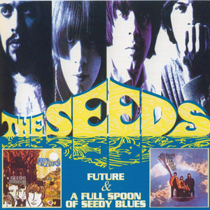 Future / A Full Spoon of Seedy Blues