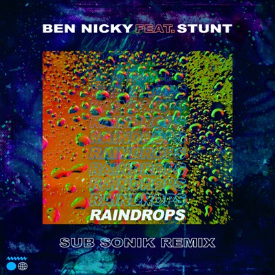 Raindrops (Sub Sonik Remix) [feat. Stunt]