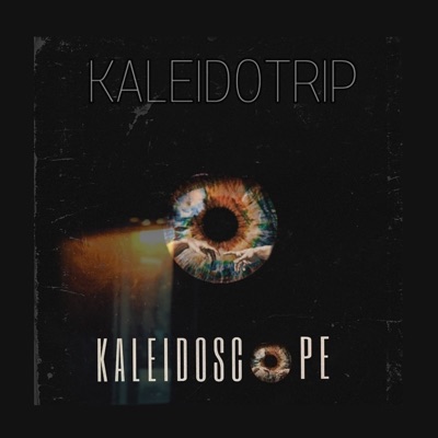 KaleidoTrip