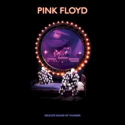 Learning to Fly (Delicate Sound of Thunder remix, 2020 edit, live)