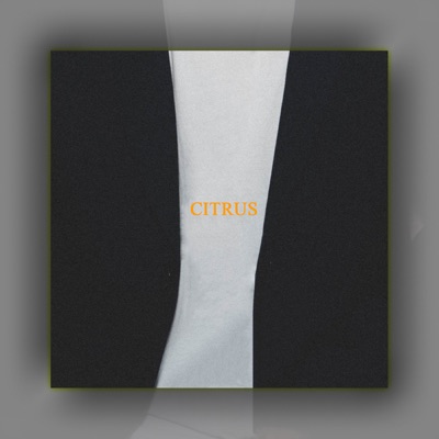 CITRUS (feat. AKDO, illa & Saula)