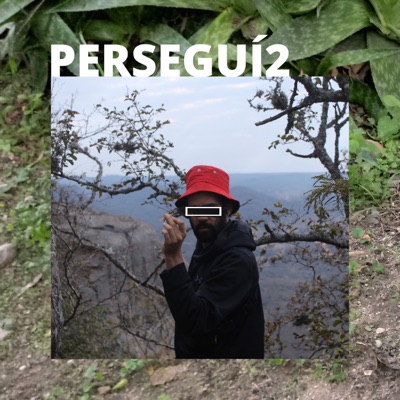 Perseguí 2