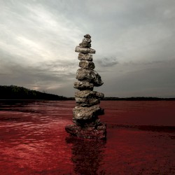 Blood From a Stone