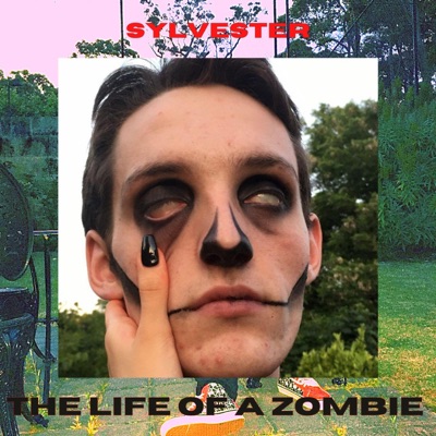 The Life of a Zombie