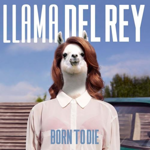 Born To Die