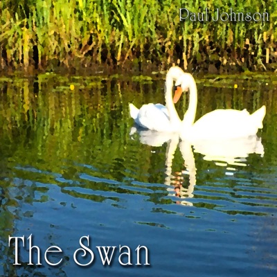 The Swan