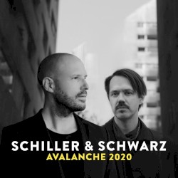 Avalanche 2020