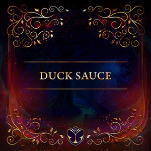 Tomorrowland 31.12.2020: Duck Sauce (DJ Mix)