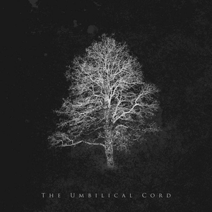 The Umbilical Cord