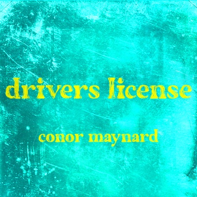 drivers license