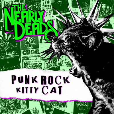 Punk Rock Kitty Cat