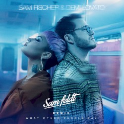 What Other People Say (Sam Feldt remix)