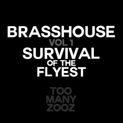 Brasshouse, Volume 1: Survival of the Flyest