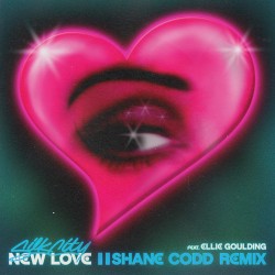 New Love (Shane Codd remix)