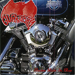 Electra Glide in Blue