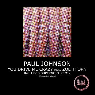 You Drive Me Crazy (feat. Zoe Thorn) [Extended Mixes]