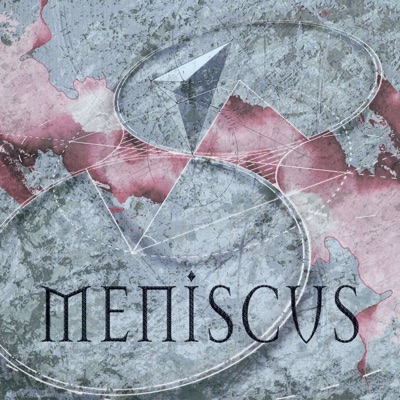 Meniscus