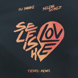 Selfish Love (Tiësto remix)