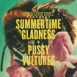 Summertime Gladness / Pussy Vultures