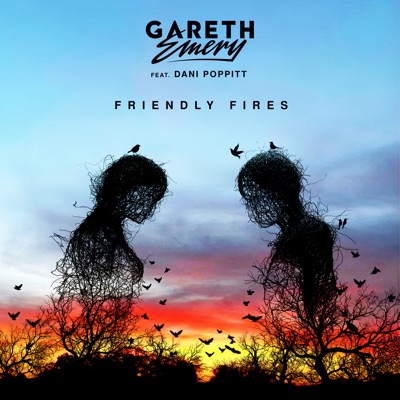 Friendly Fires (feat. Dani Poppitt)