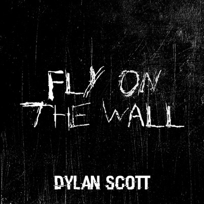 Fly on the Wall