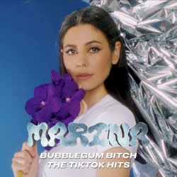 Bubblegum Bitch - The Tiktok Hits